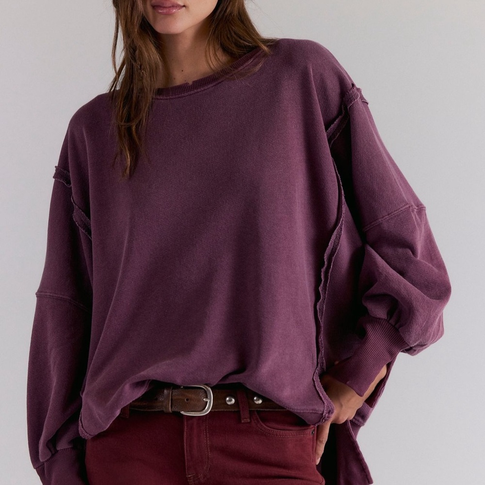 NWT Free People We The Free | Camden Sweatshirt Pullover | XS